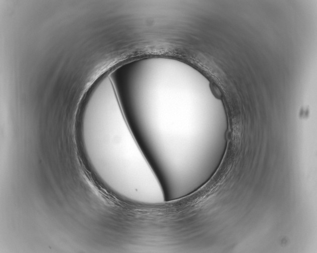 X0000094360626200711021337