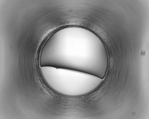 X0000094360628200711021337