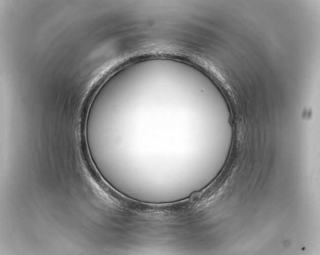X0000094360629200711021337