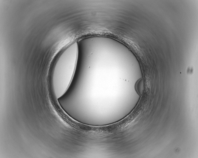 X0000094360630200711021337