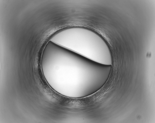 X0000094360631200711021337