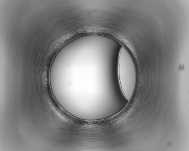 X0000094360633200711021337