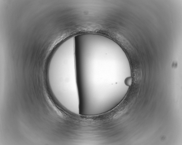 X0000094360634200711021337