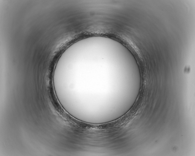 X0000094360635200711021337