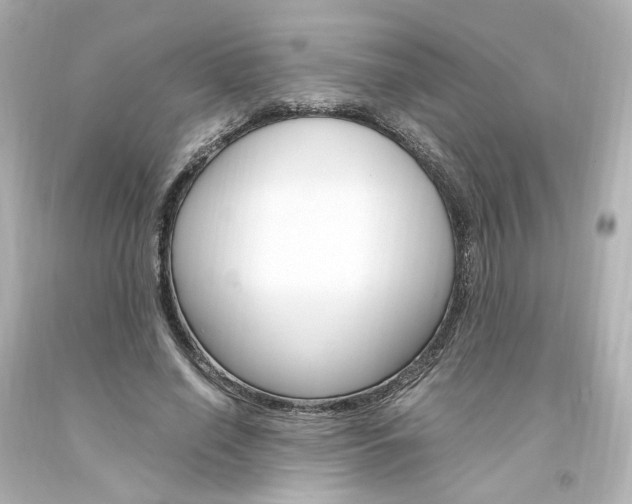 X0000094360638200711021337