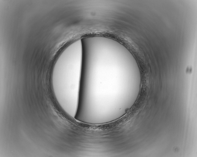 X0000094360640200711021337