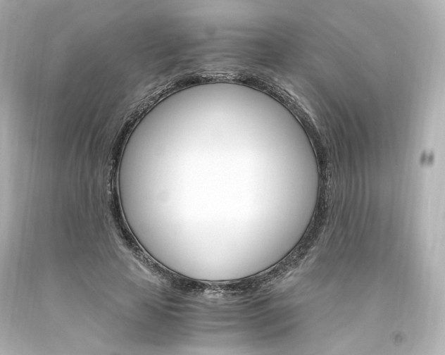 X0000094360641200711021337