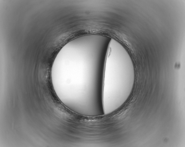 X0000094360645200711021337