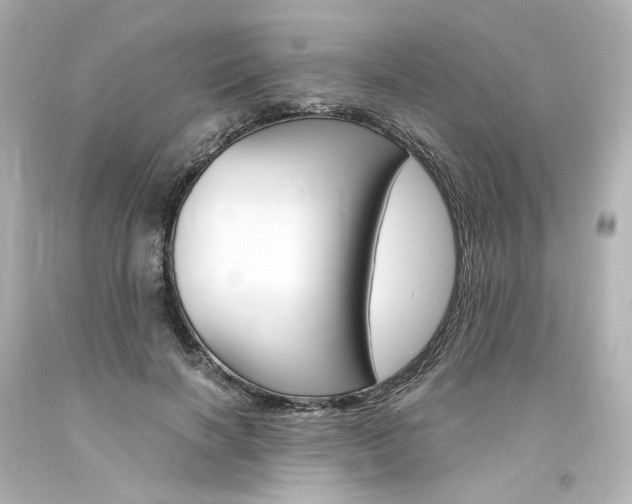 X0000094360646200711021337