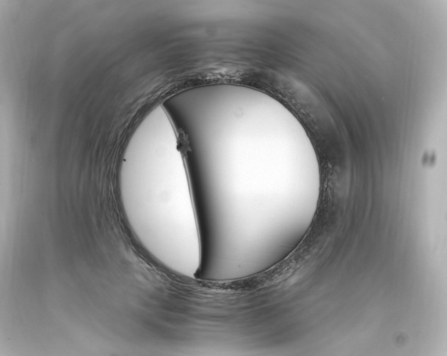 X0000094360649200711021337