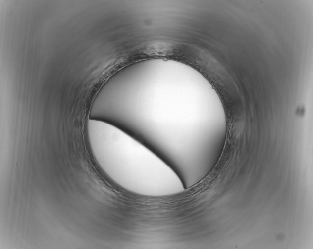 X0000094360652200711021337