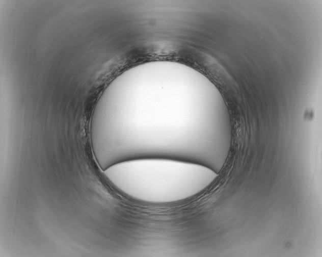 X0000094360654200711021337