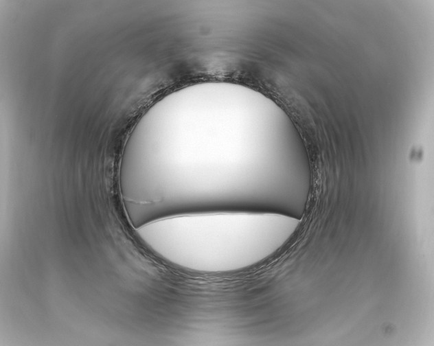 X0000094360656200711021337