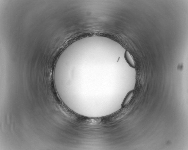X0000094360660200711021337