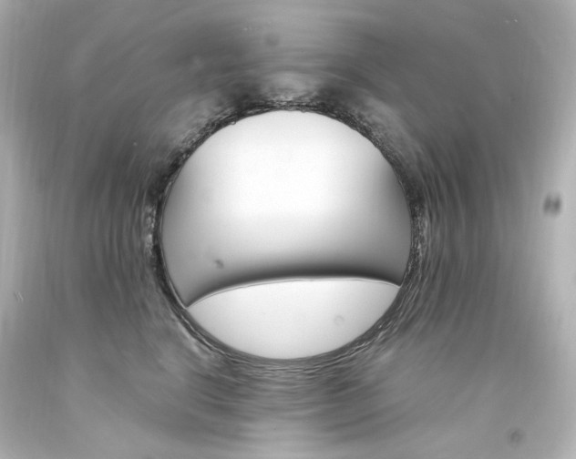 X0000094360664200711021337