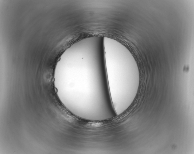 X0000094360665200711021337