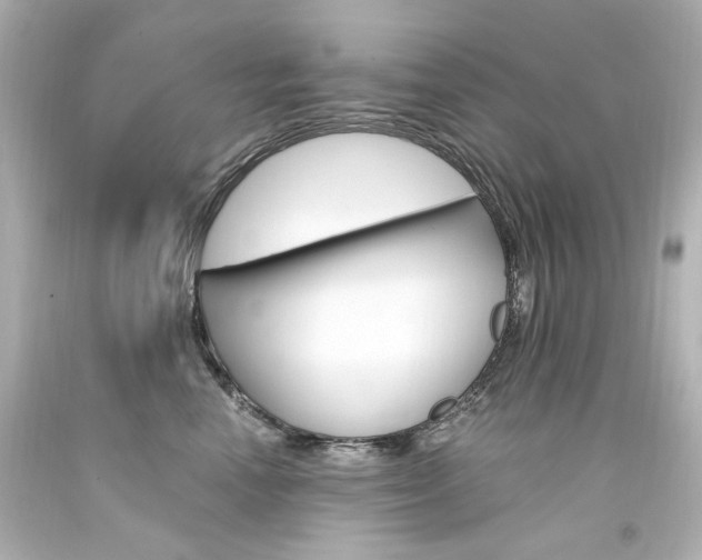 X0000094360666200711021337