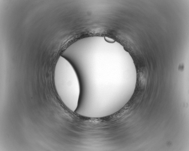 X0000094360668200711021337