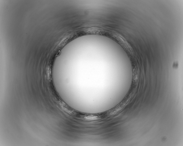 X0000094360669200711021337