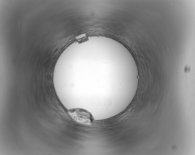 X0000094360672200711021338