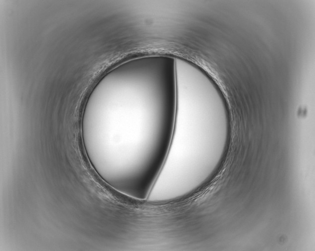 X0000094360673200711021337