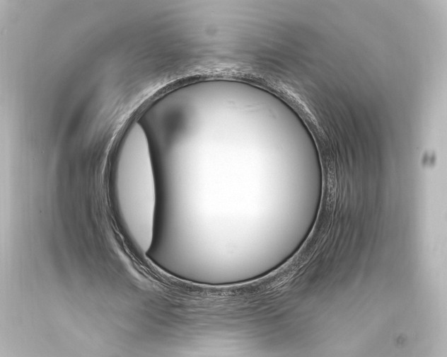 X0000094360674200711021337