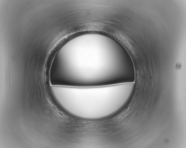 X0000094360676200711021337