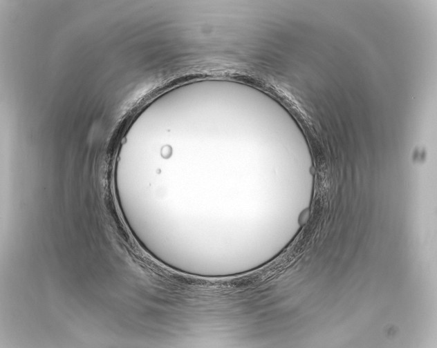 X0000094360679200711021337