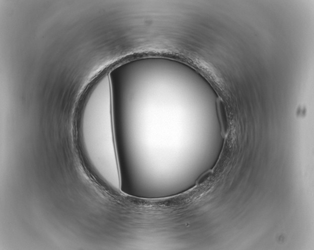 X0000094360680200711021337