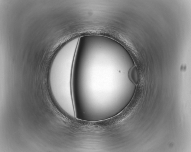 X0000094360681200711021337