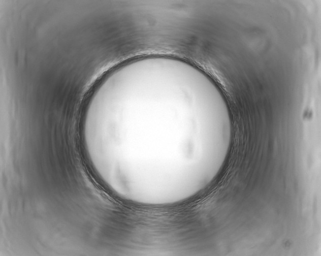 X0000094360684200711021337