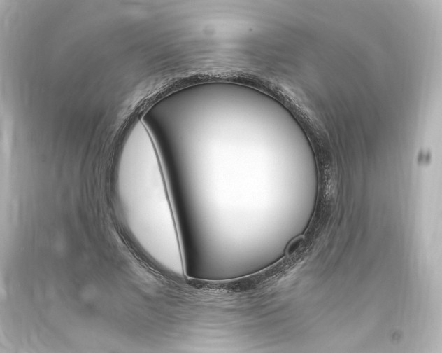 X0000094360685200711021337