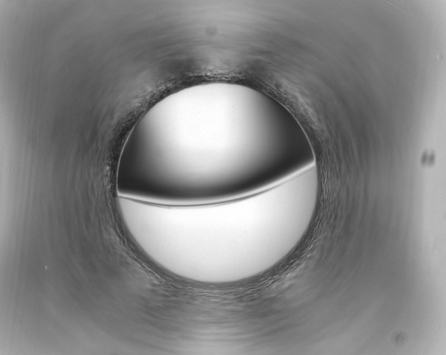 X0000094360689200711021336