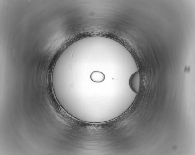X0000094360690200711021336