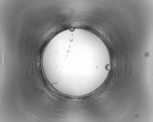X0000094360691200711021336