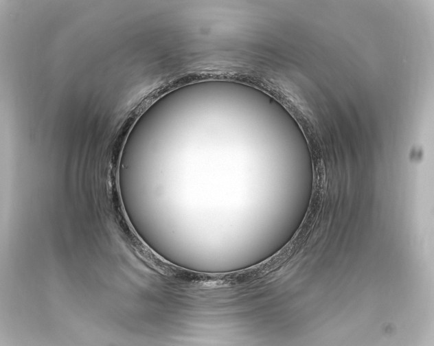X0000094360692200711021336