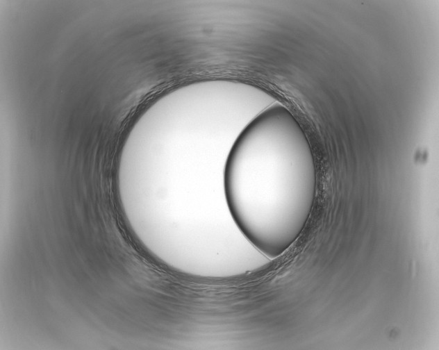X0000094360693200711021336