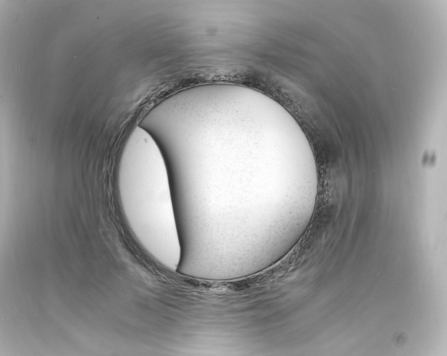 X0000094360695200711021336