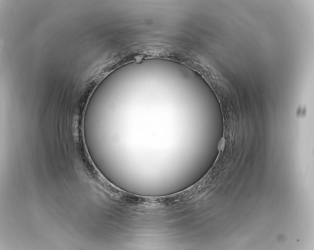 X0000094360696200711021336