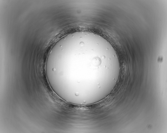 X0000094360698200711021336