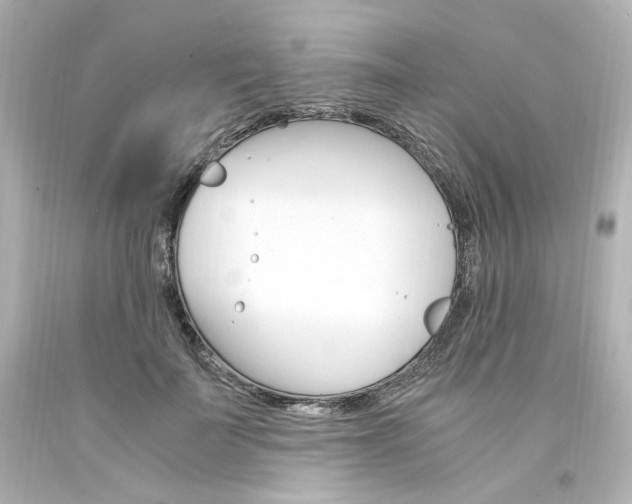 X0000094360699200711021336