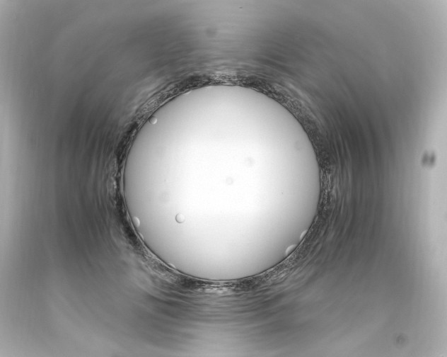 X0000094360702200711021336