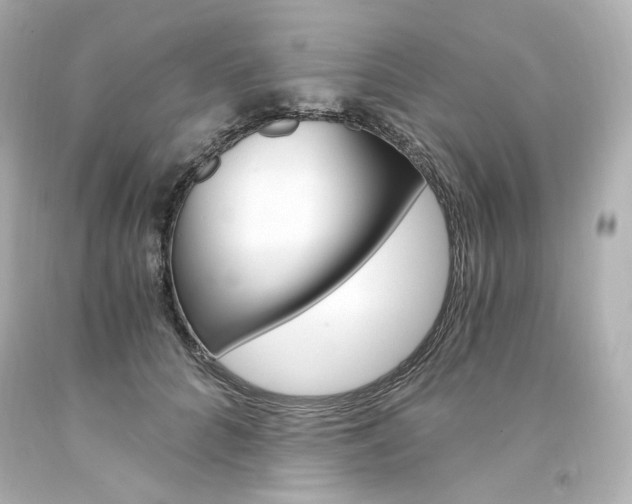 X0000094360704200711021336