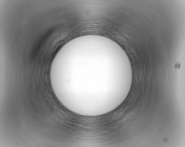 X0000094360705200711021336