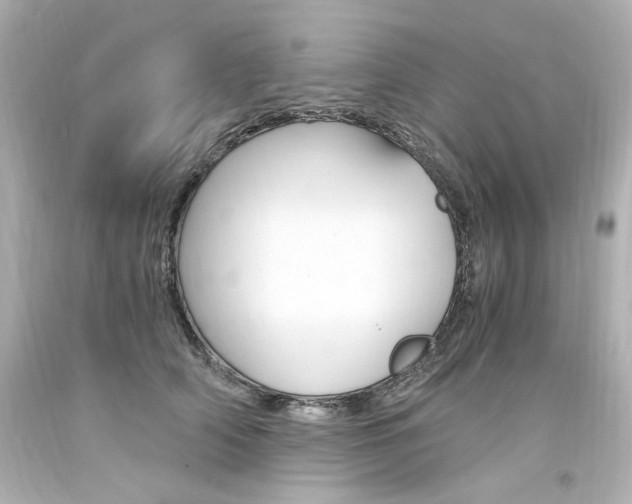 X0000094360706200711021336