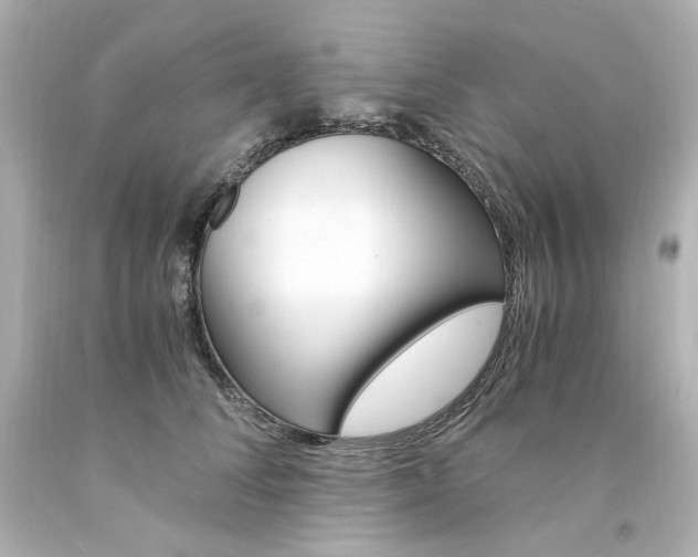 X0000094360708200711021336
