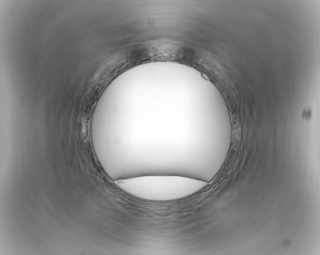 X0000094360709200711021336