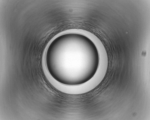 X0000094360710200711021336
