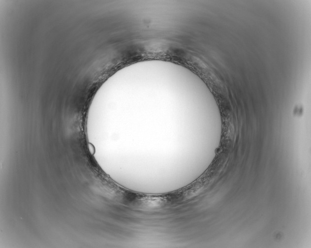 X0000094360711200711021336