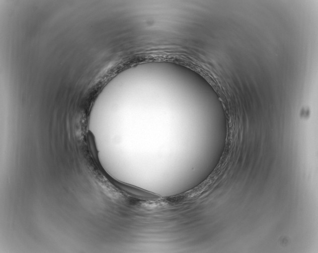 X0000094360712200711021336